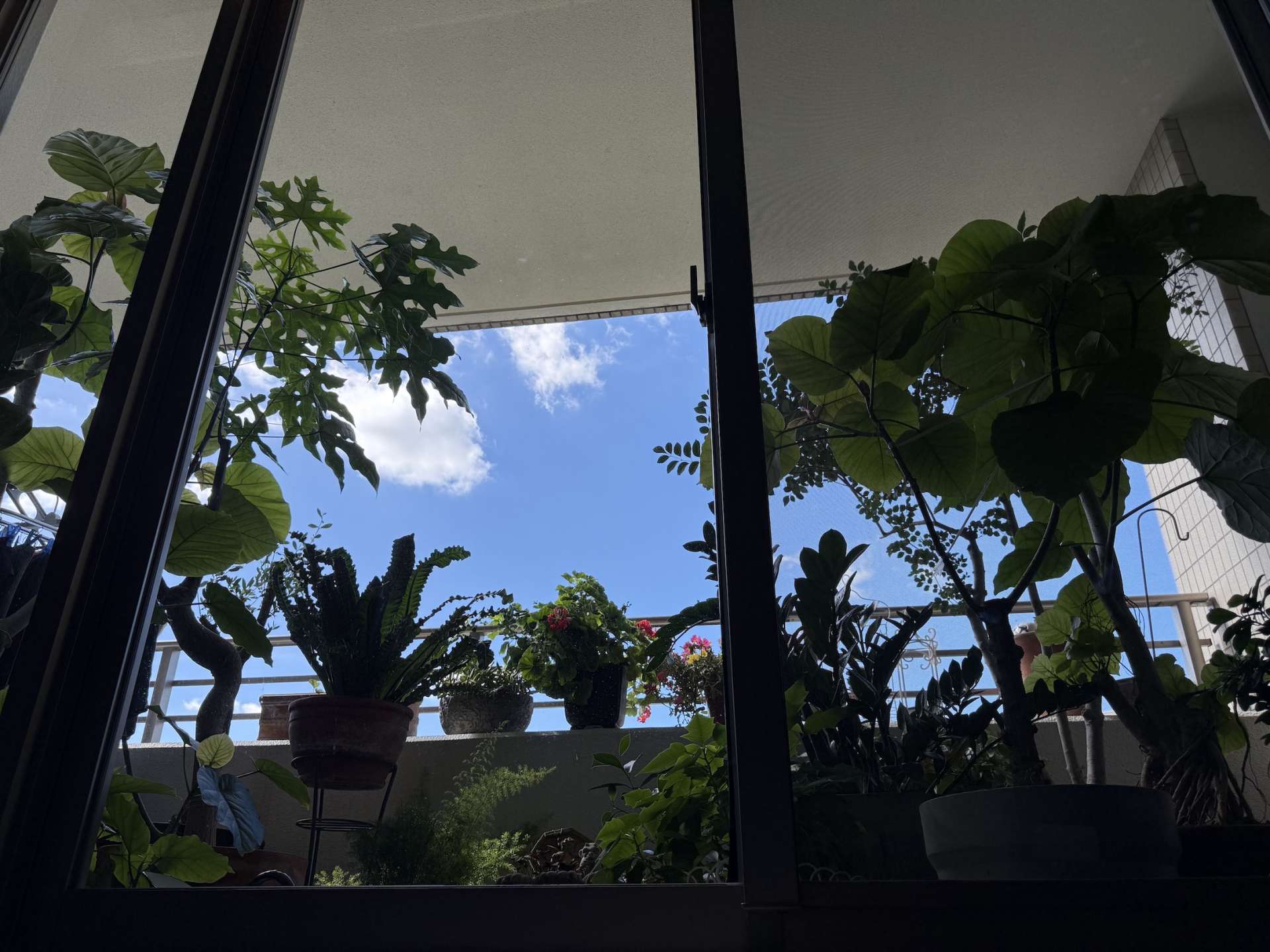 夏休み、始まりましたね！